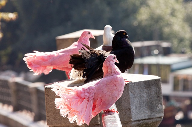 推廣合作 推廣合作