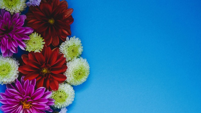 使他能够在 使他能够在