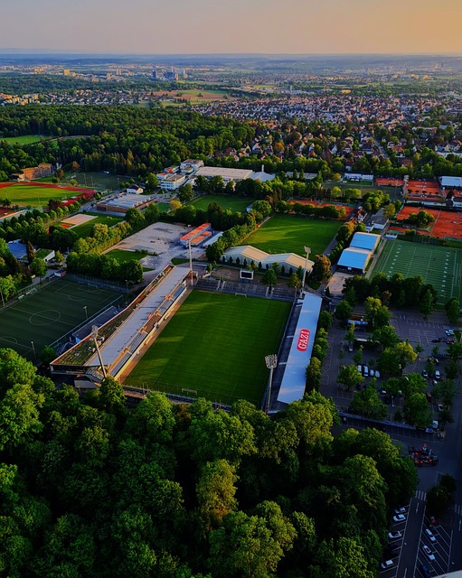 以美国为代 以美国为代