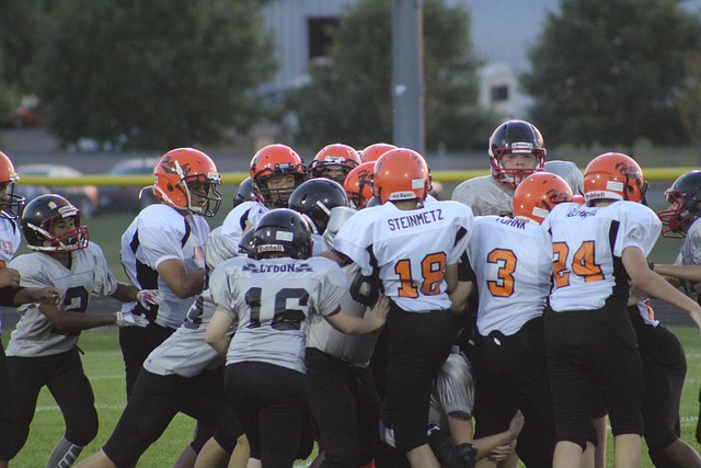 种植的大规 种植的大规