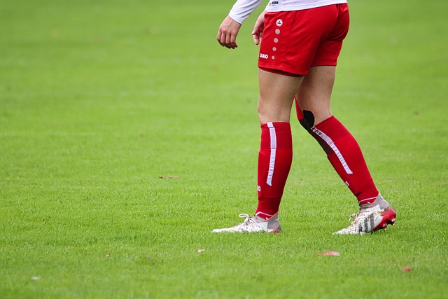 赛中如鱼得 赛中如鱼得