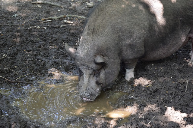 手的不同特 手的不同特