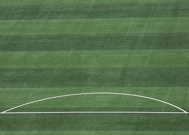 或冬窗期成 或冬窗期成