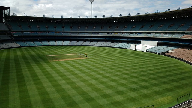 界的巨星 界的巨星